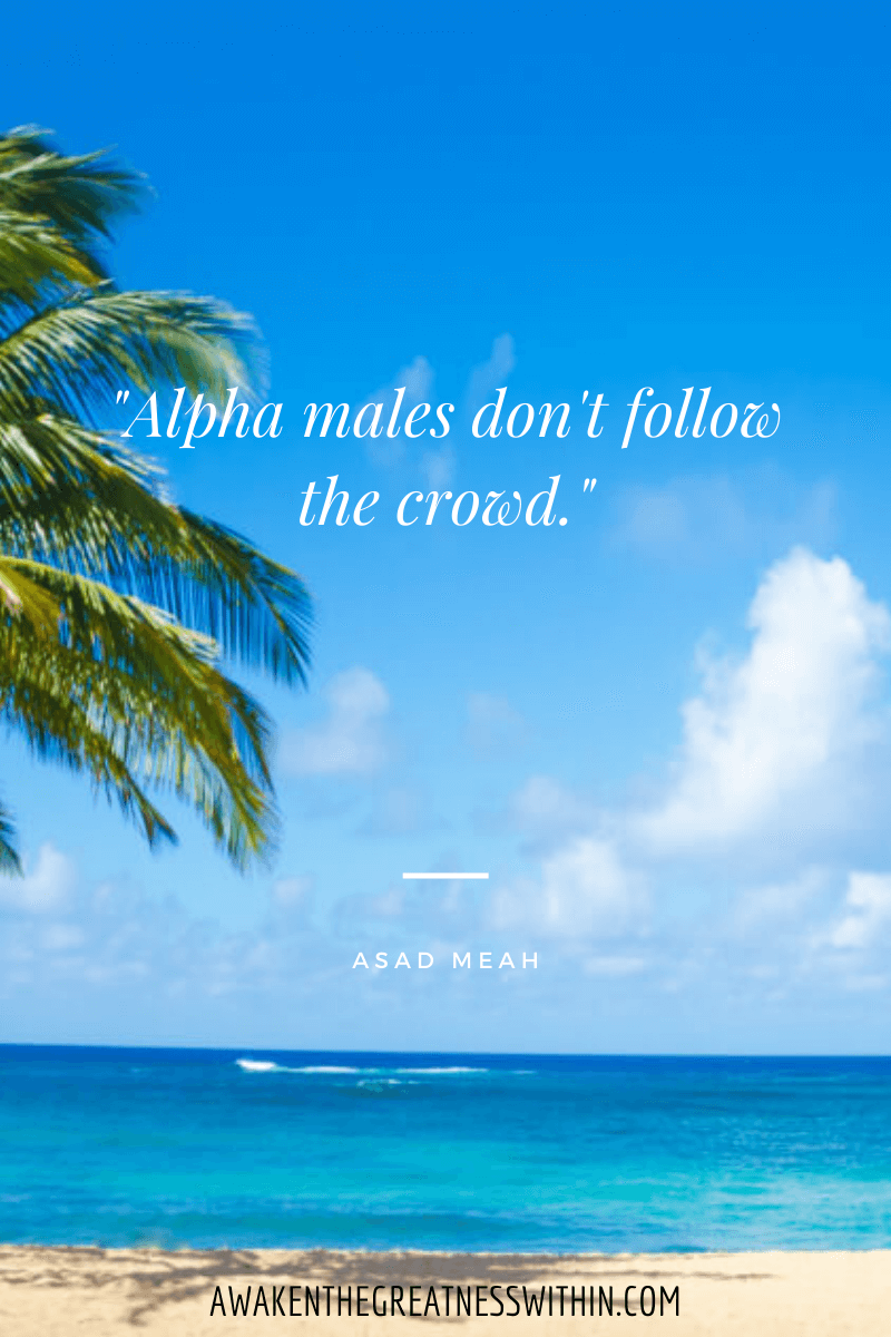 alpha men quotes