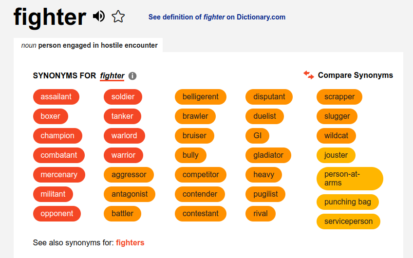 fighter synonym