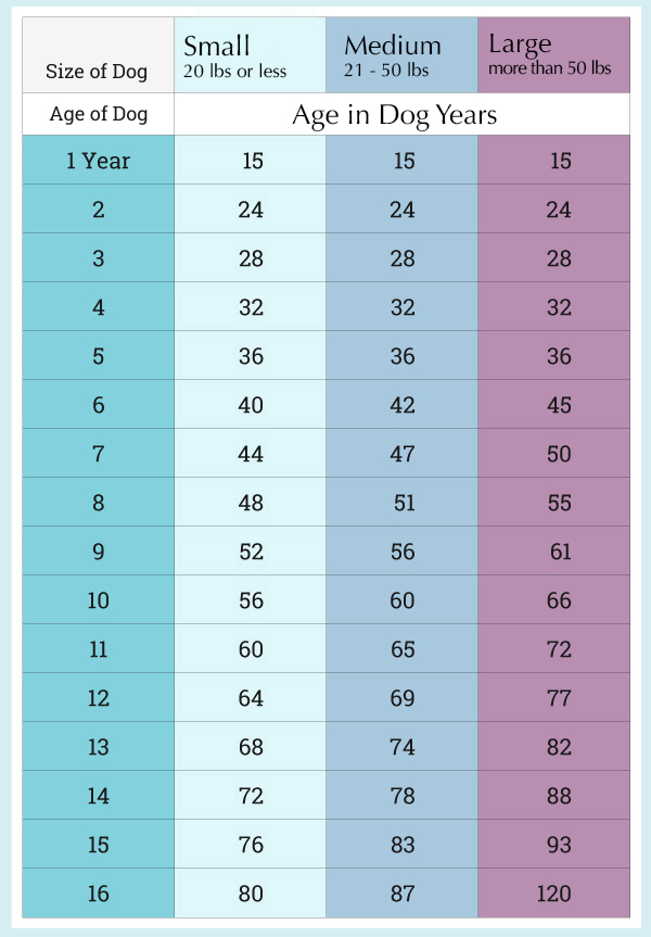 human years to dog years calculator