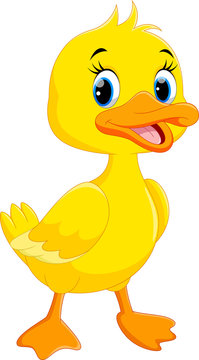 cartoon duck photo