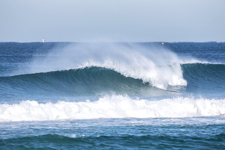 swell forecast newcastle