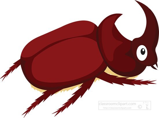 beetle clipart