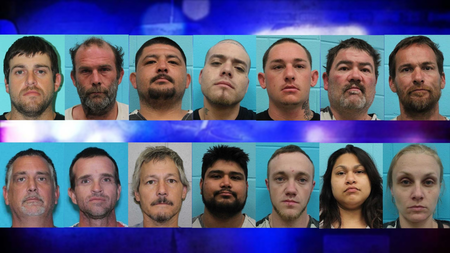 busted mugshots nolan county