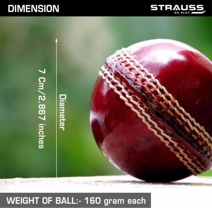 cricket ball size in cm