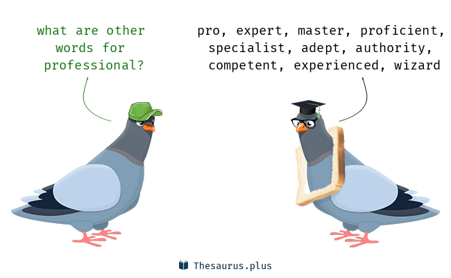 synonym professional