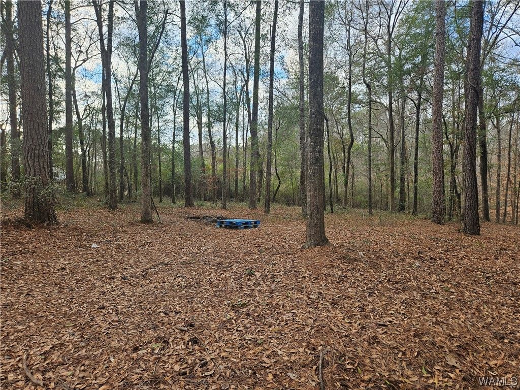 land for sale in coker al