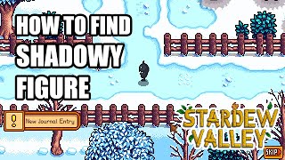 stardew valley winter mystery quest