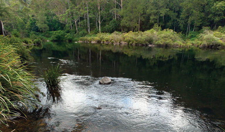 cod hole campground