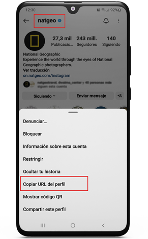 descargar imagen de perfil instagram hd