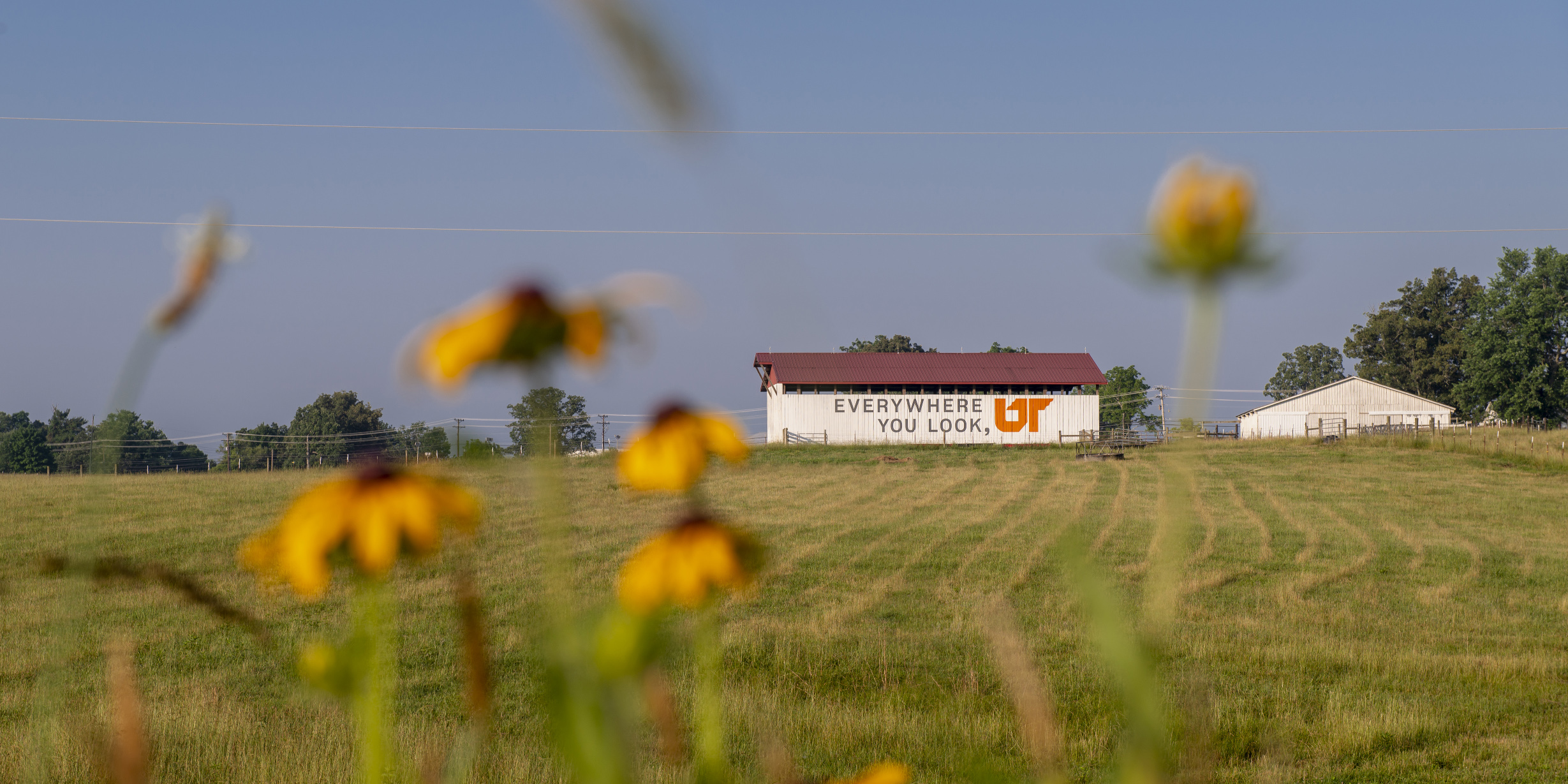 utk extension jobs