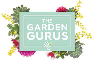 garden gurus