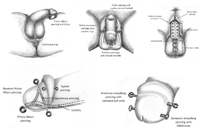 shaft apadravya