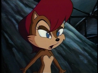 sally acorn