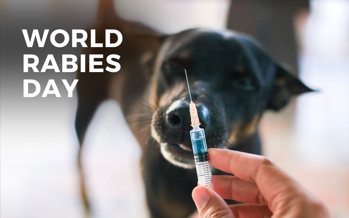 world rabies day hashtags