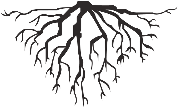 roots clipart