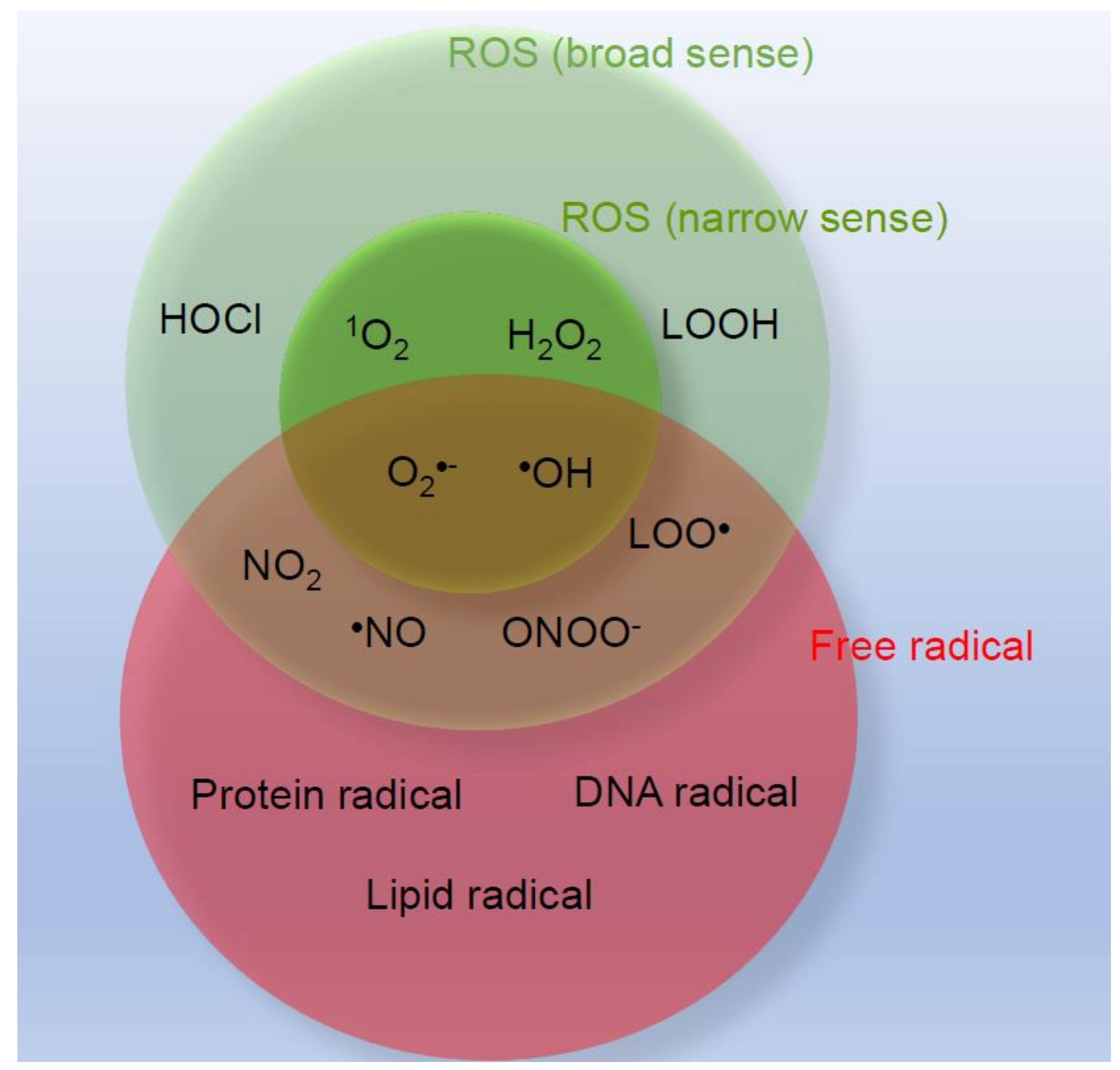 free radic res