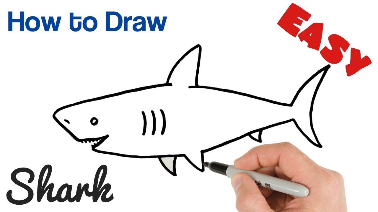 shark drawing easy