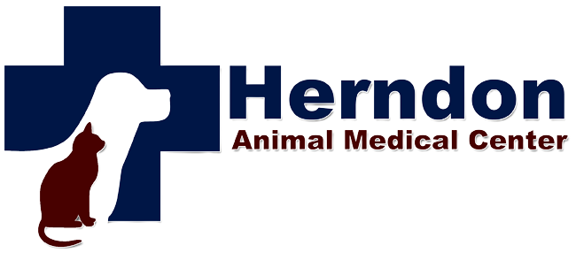 herndon animal medical center