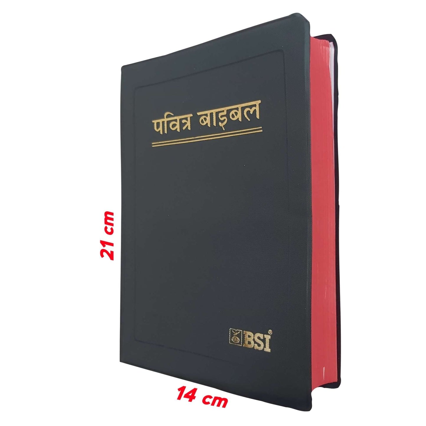 hindi bible online