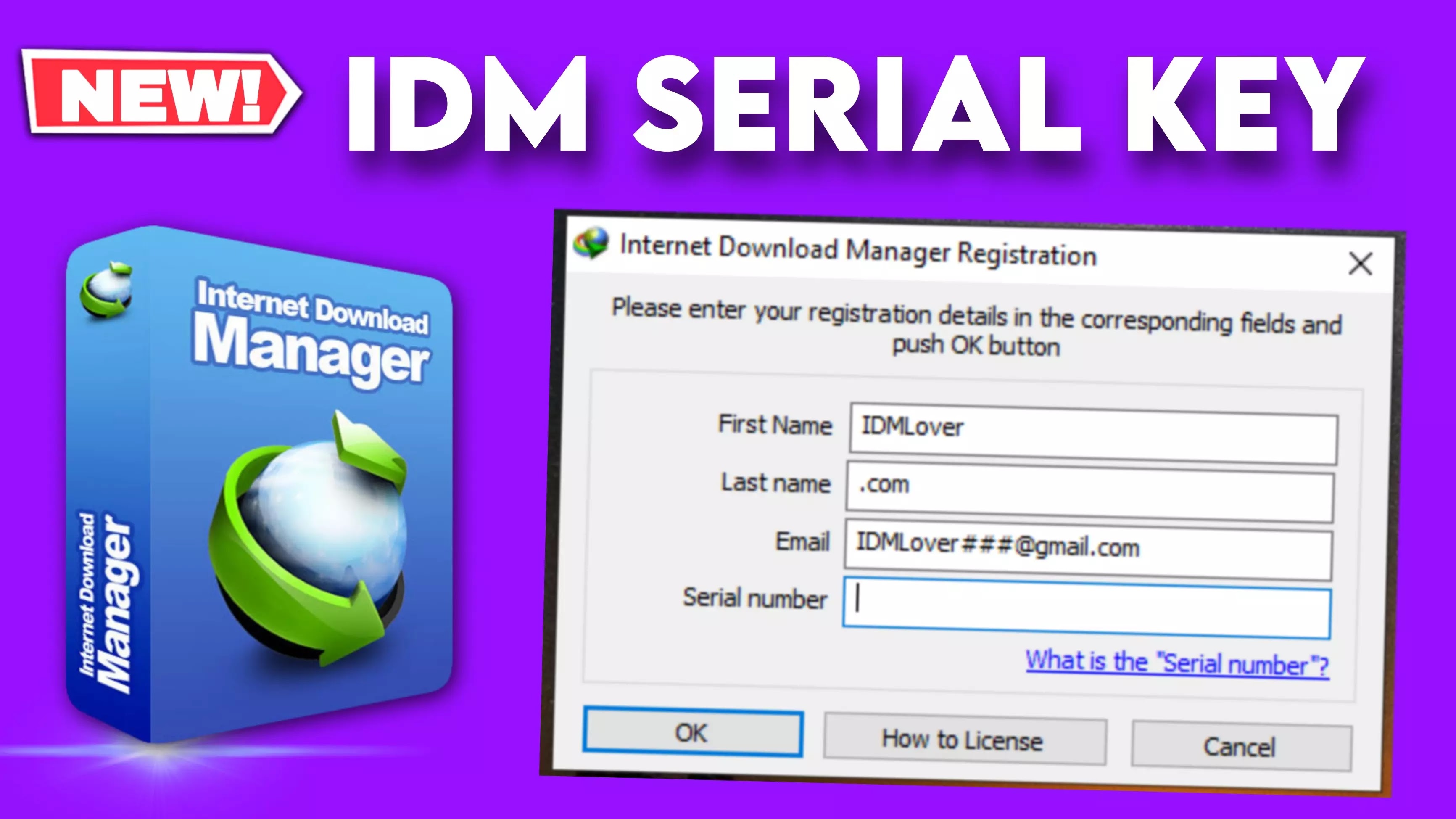 internet dowland manager seri numarası