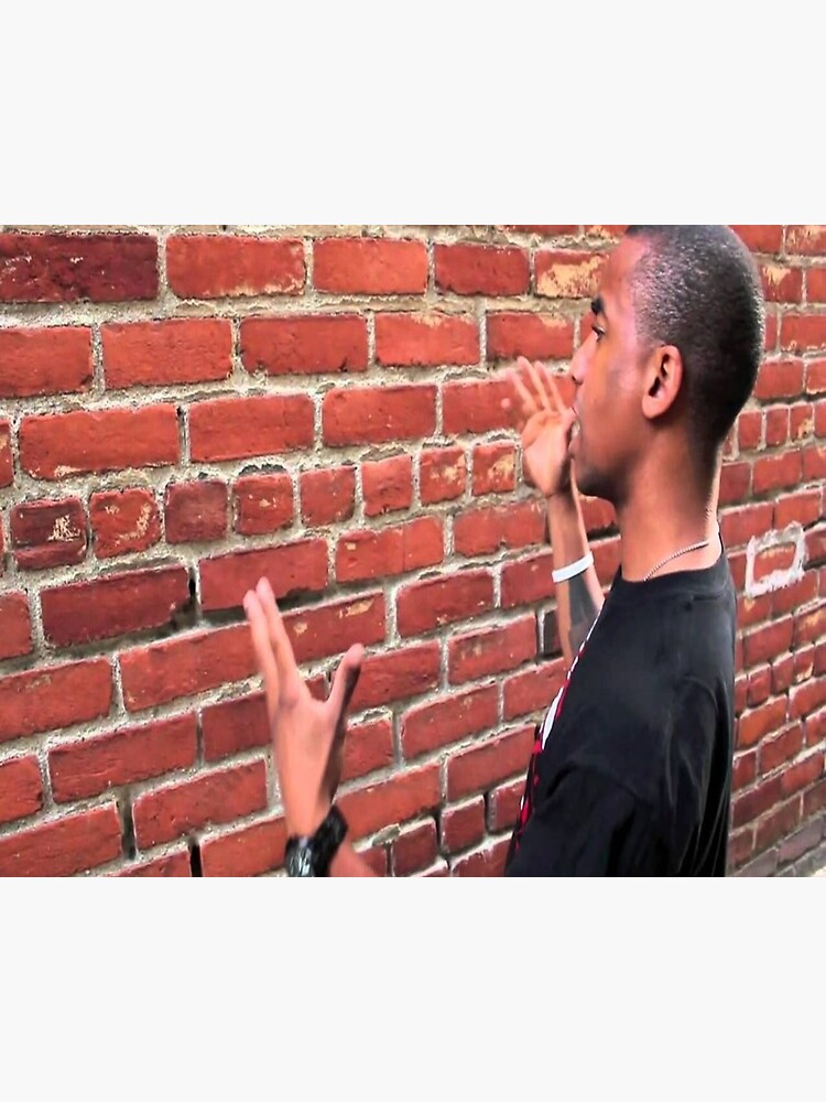 talking to a brick wall meme