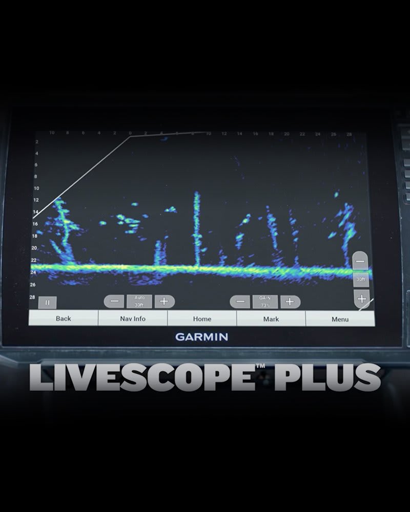 live scope