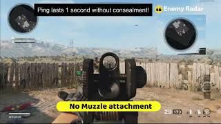 muzzle flash concealment mw2