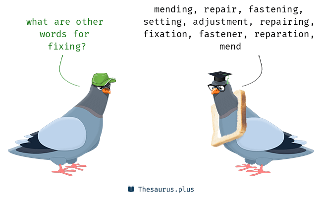 another word for fixing something