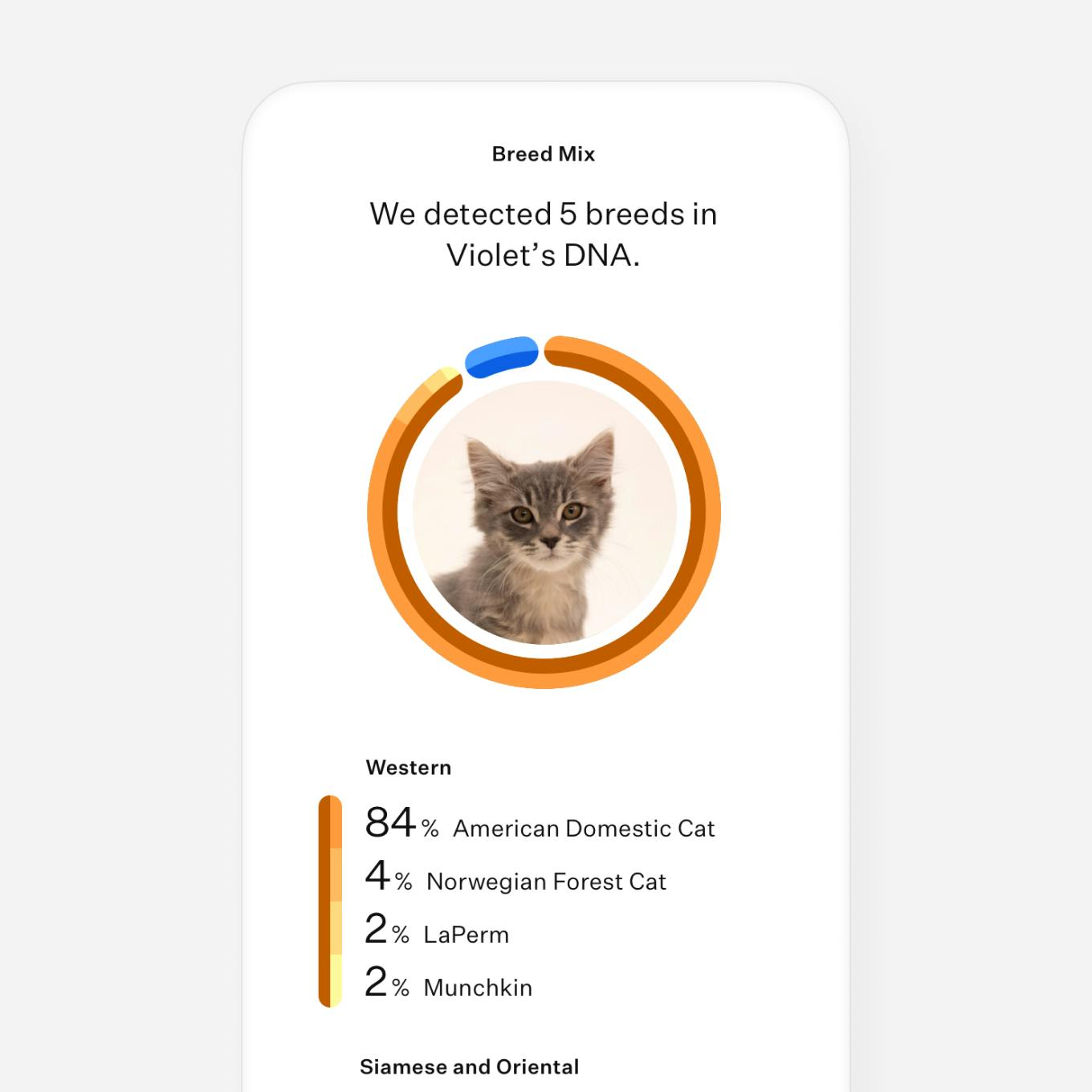 cat breed dna test uk