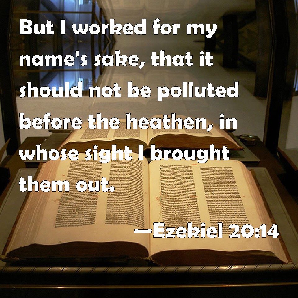 ezekiel 20 14