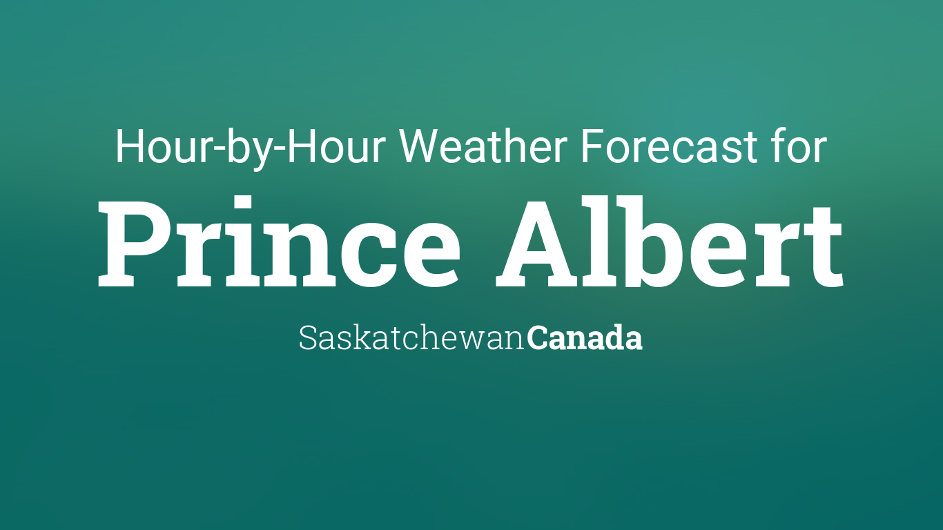 prince albert hourly weather