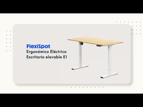 flexispot e1