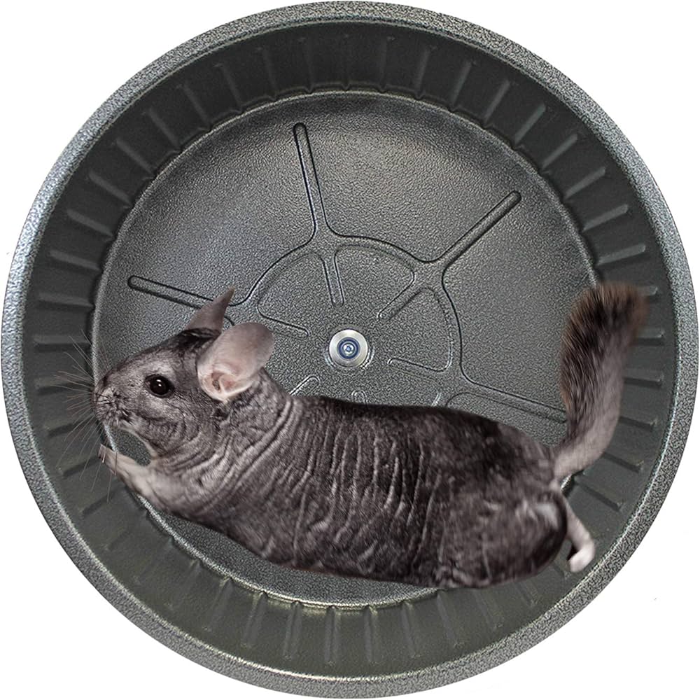 chinchilla wheel