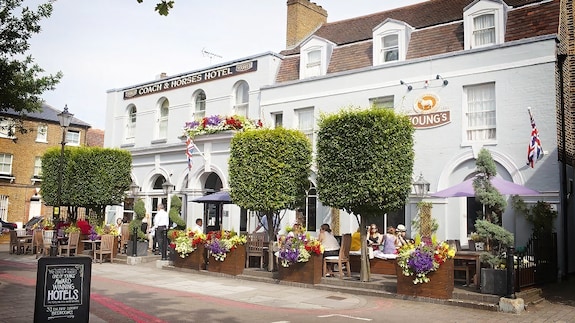 coach horses kew