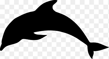 silhouette of a dolphin