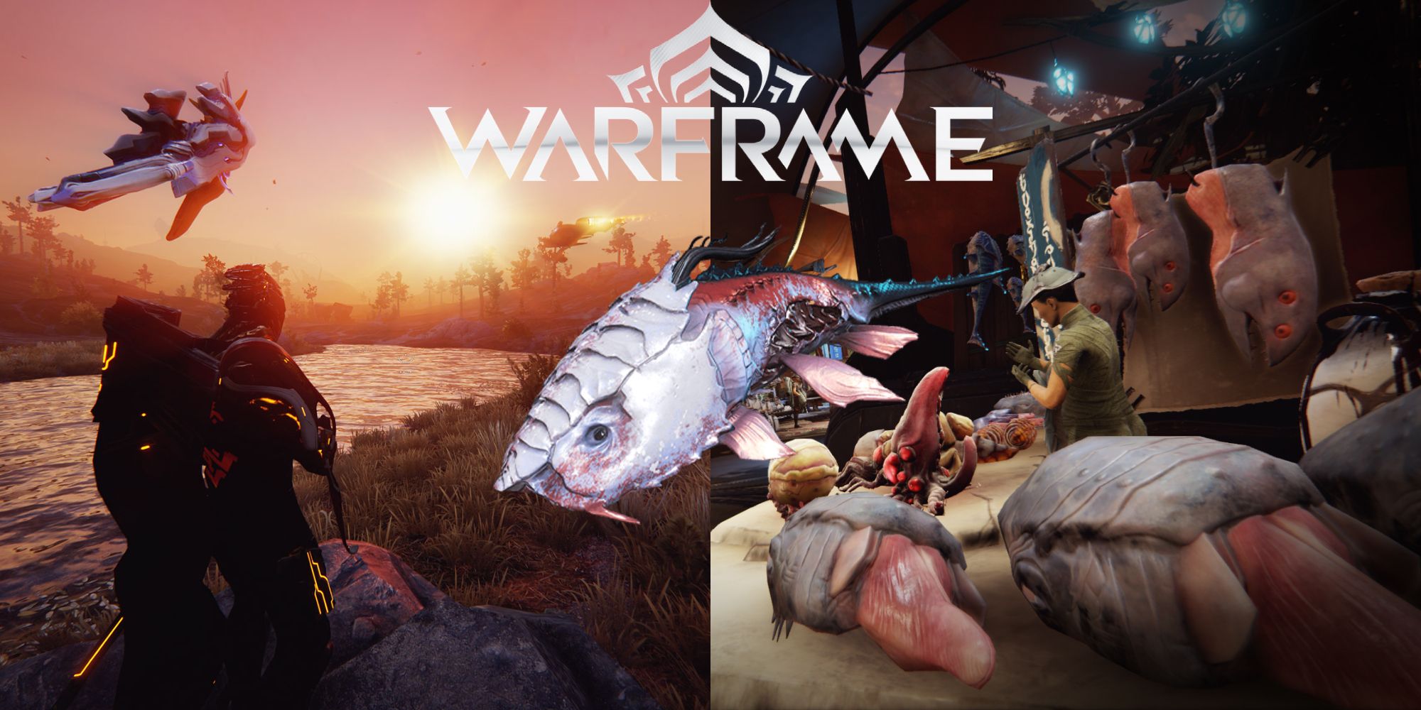 how to get fish oil in warframe