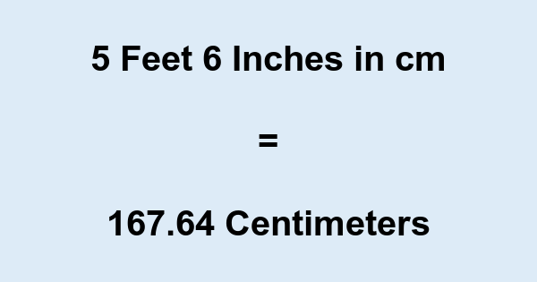 6 foot 6 in cm