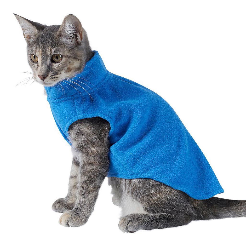 cat coats for winter