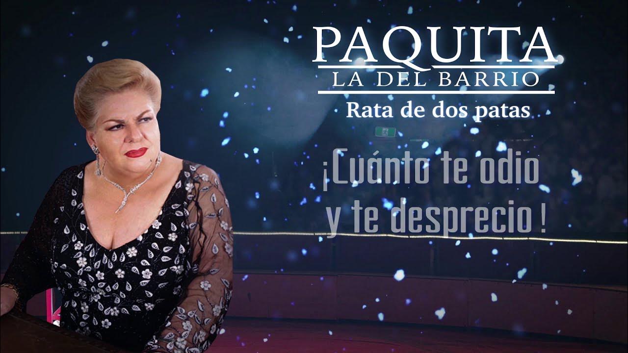 letras de paquita la del barrio rata de dos patas