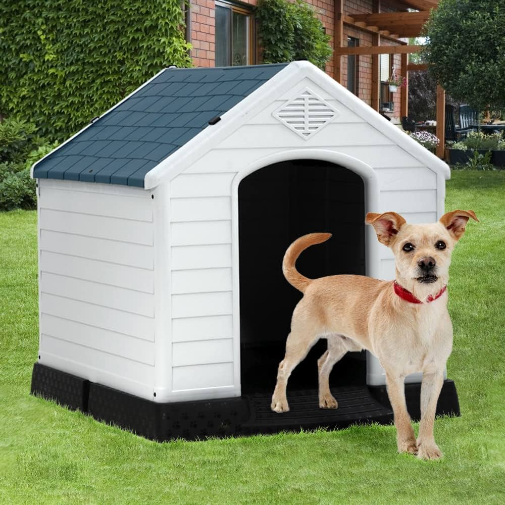 medium size dog house for sale