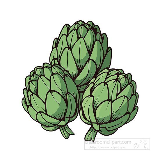 artichoke clip art