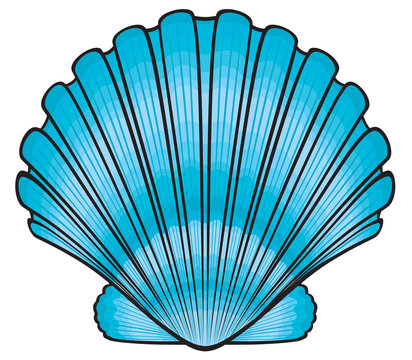 seashell clipart