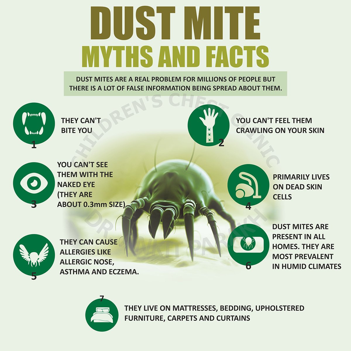 bleach kill dust mites