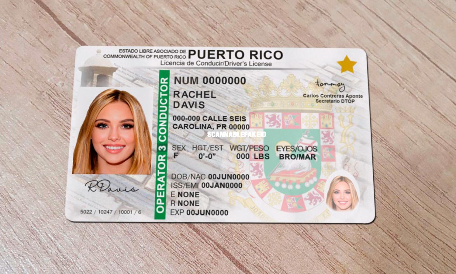 puerto rico drivers license