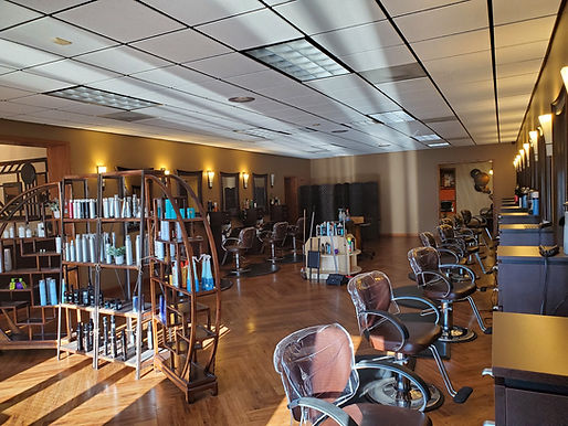 omni salon zion