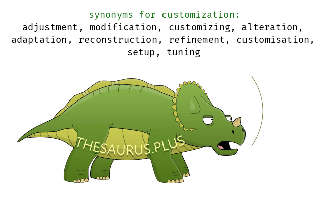 synonym for customization