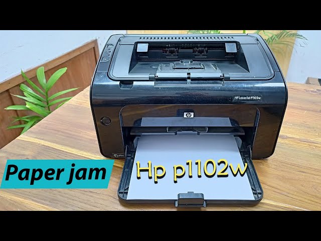 hp p1102 paper jam