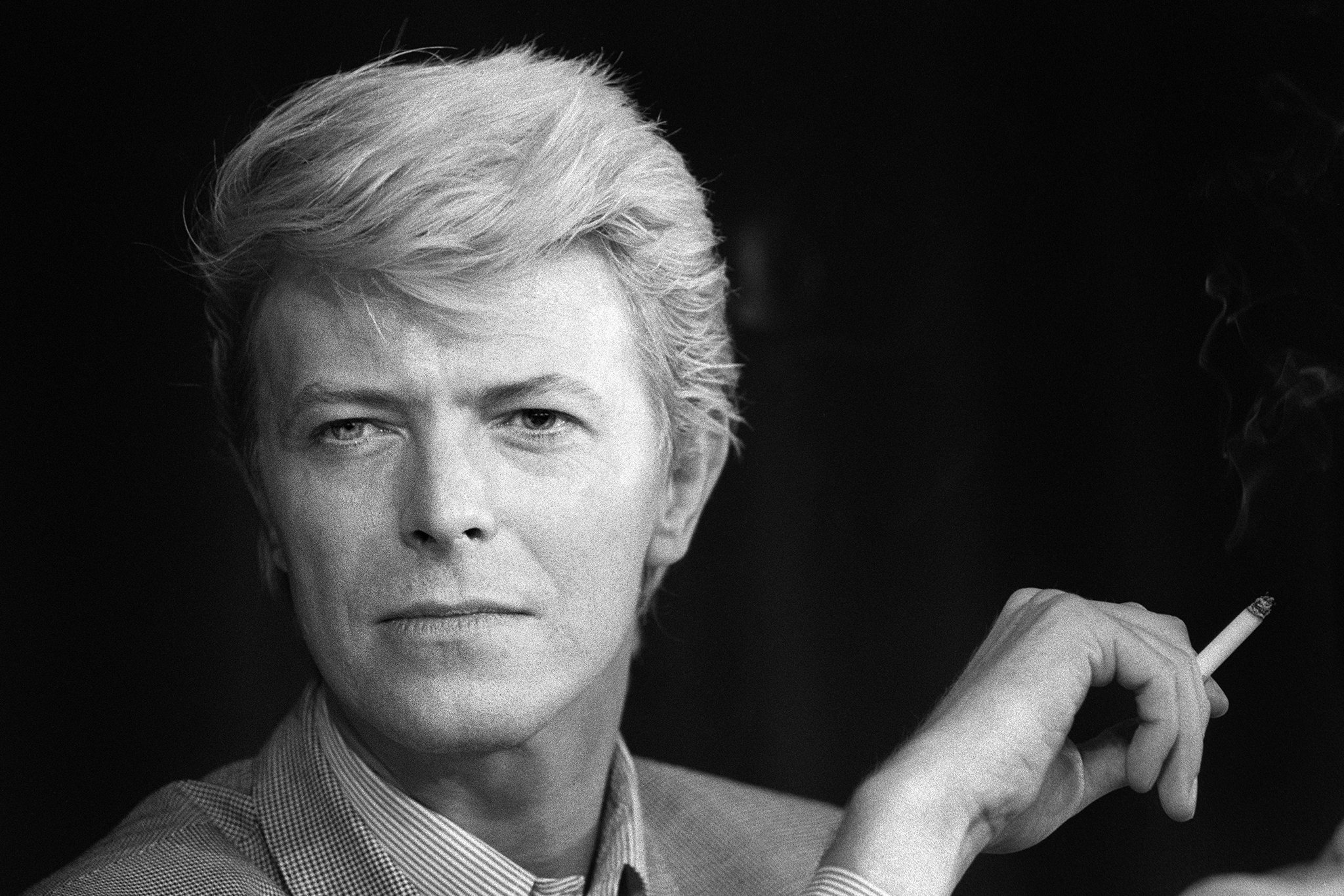 wiki david bowie