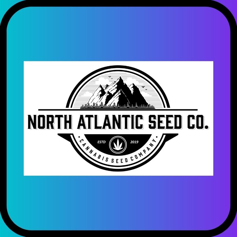 north atlantic seed