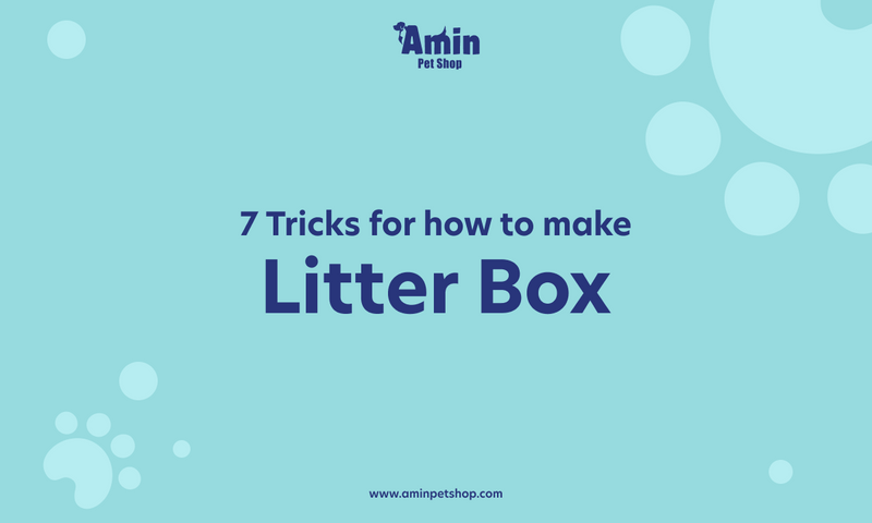 how to make litter box non stick